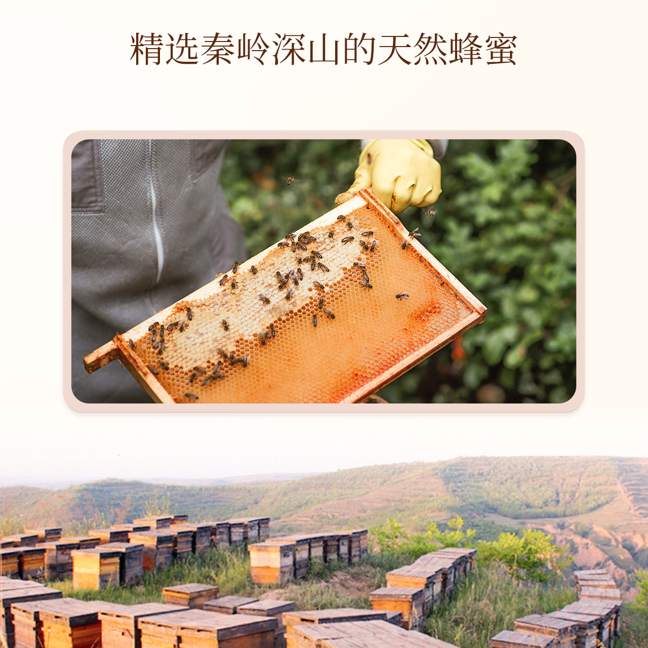 DIGIFOX泡澡精油球沐浴洗澡泡泡浴球浴盐浴液浴缸防滑枕搭配_虎窝淘