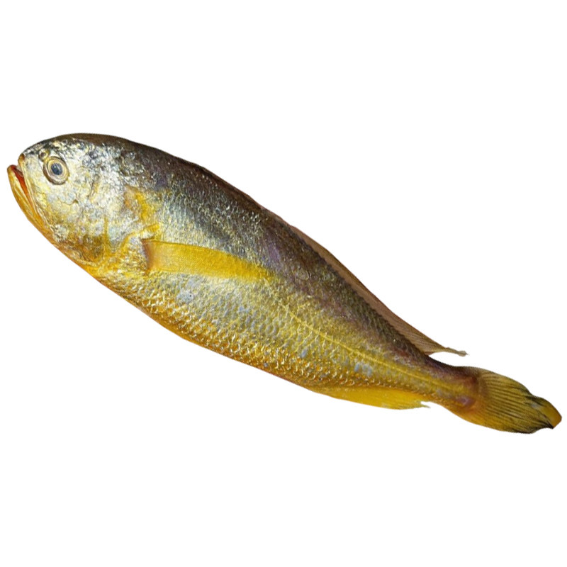 新鲜舟山梅童鱼冷冻大头梅童鱼小梅子鱼东海海鲜宁波大头宝鱼特大,淘宝优惠券,粉丝福利购,淘宝优惠卷