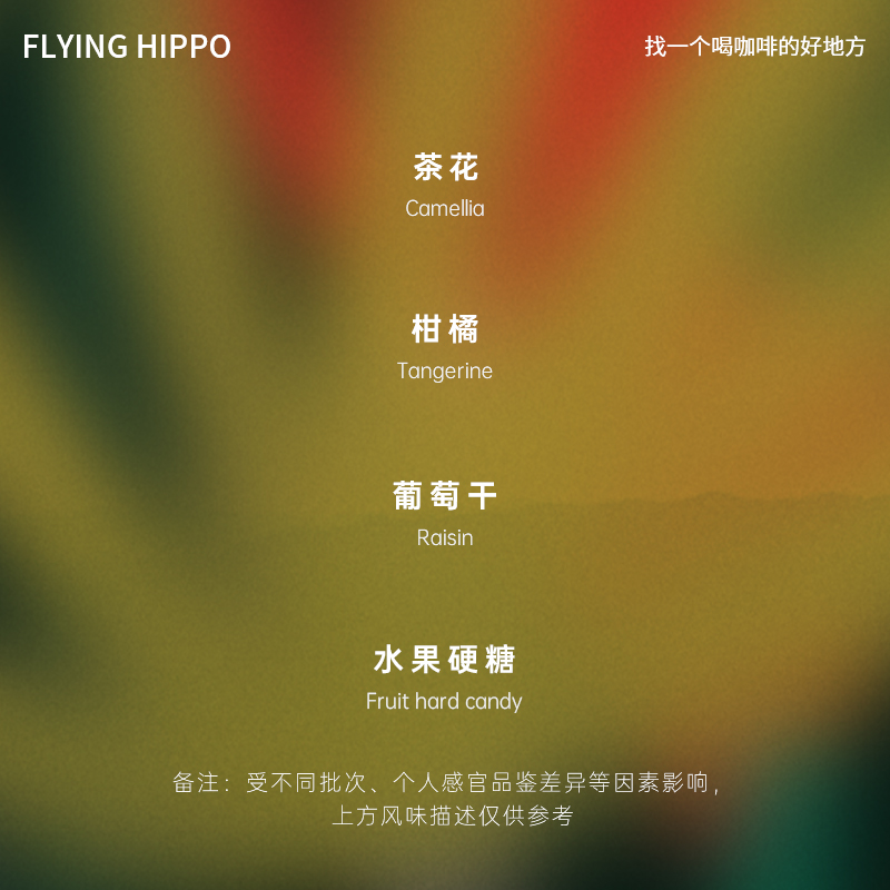 FLYINGHIPPO危地马拉COE获奖绝色庄园水洗瑰夏浅烘手冲咖啡豆100g - 图0