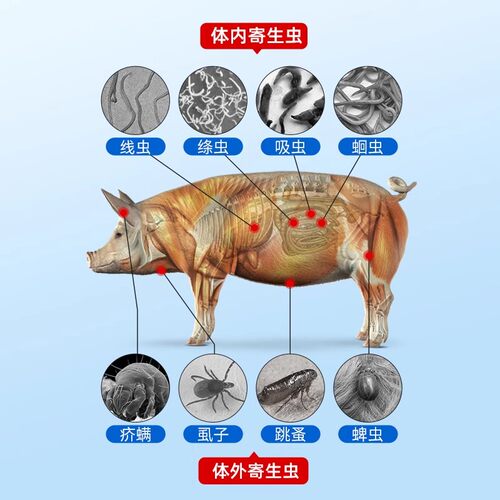 国标兽药牧品阿苯达唑伊维菌素粉猪牛羊鸡鸭鹅禽畜体内外驱寄生虫 - 图0