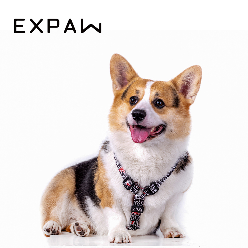 XPAWS Tap狗狗胸背工字型h型宠物牵引绳背心式可调节泰迪小型犬 - 图2