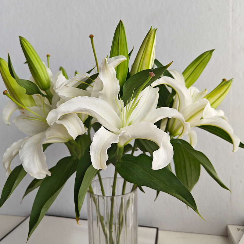 A级西伯利亚百合多头香水百合鲜花大头瓶插花束顺丰云南基地直发,淘宝优惠券,粉丝福利购,淘宝优惠卷
