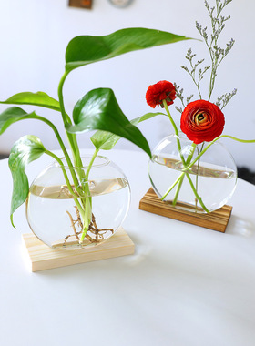 创意北欧风木艺水培绿萝摆件花瓶客厅家居装饰办公室桌面摆设
