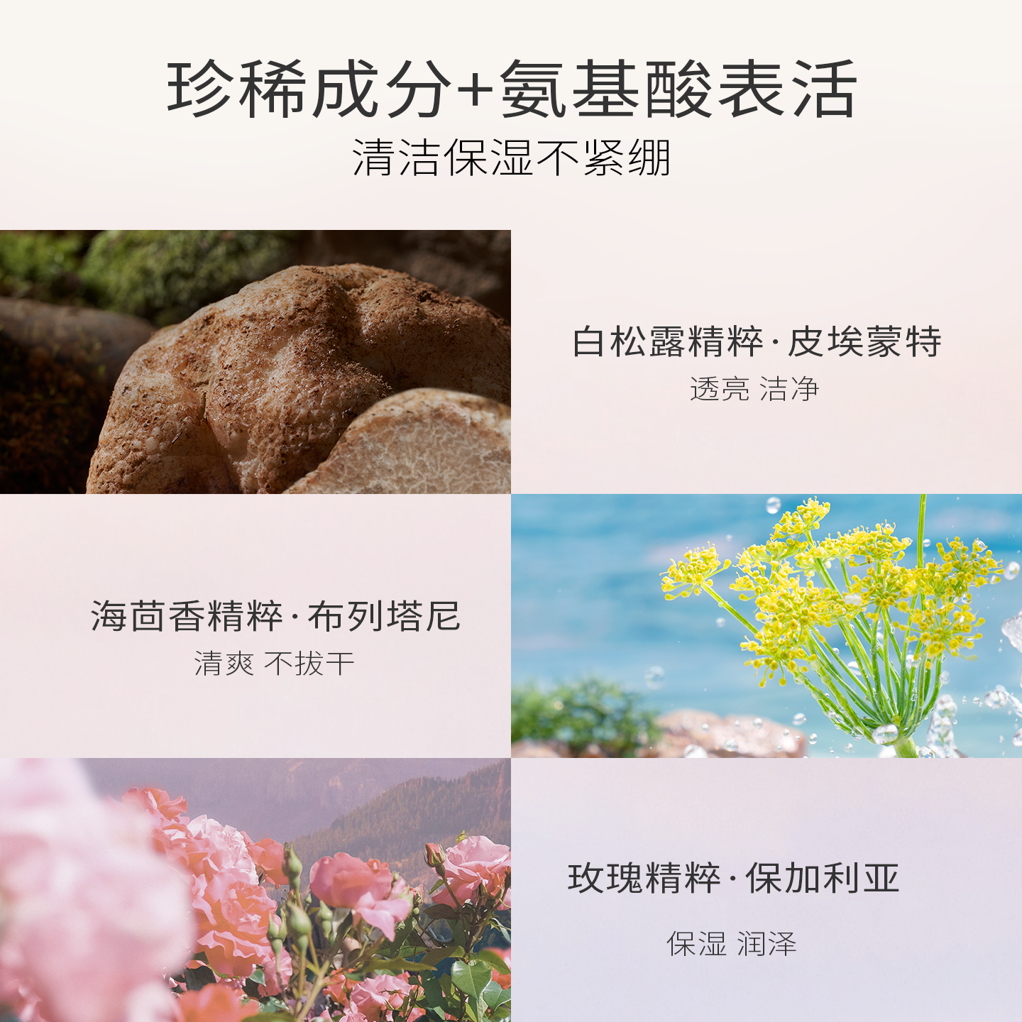 【周年庆 同价618】PMPM白松露洁面氨基酸洗面奶去黄提亮深层清洁