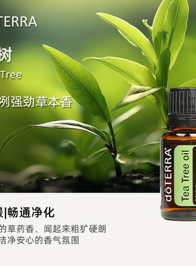 多特瑞茶树单方精油控油祛痘印