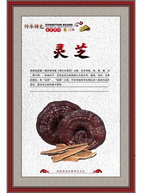 灵芝养生海报展板灵芝灵芝的成分灵芝养生之道墙贴墙纸装饰画KT板