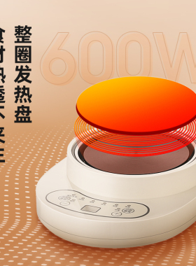 多功能家用办公室煮茶壶养生壶