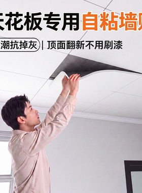 【千人加购】天花板专用防水墙贴