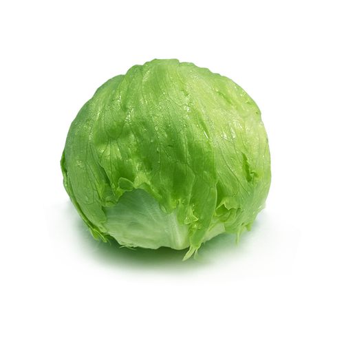 【千牛优福】球生菜3-5斤装汉堡生菜轻食沙拉煎饼食材新鲜蔬菜 - 图3