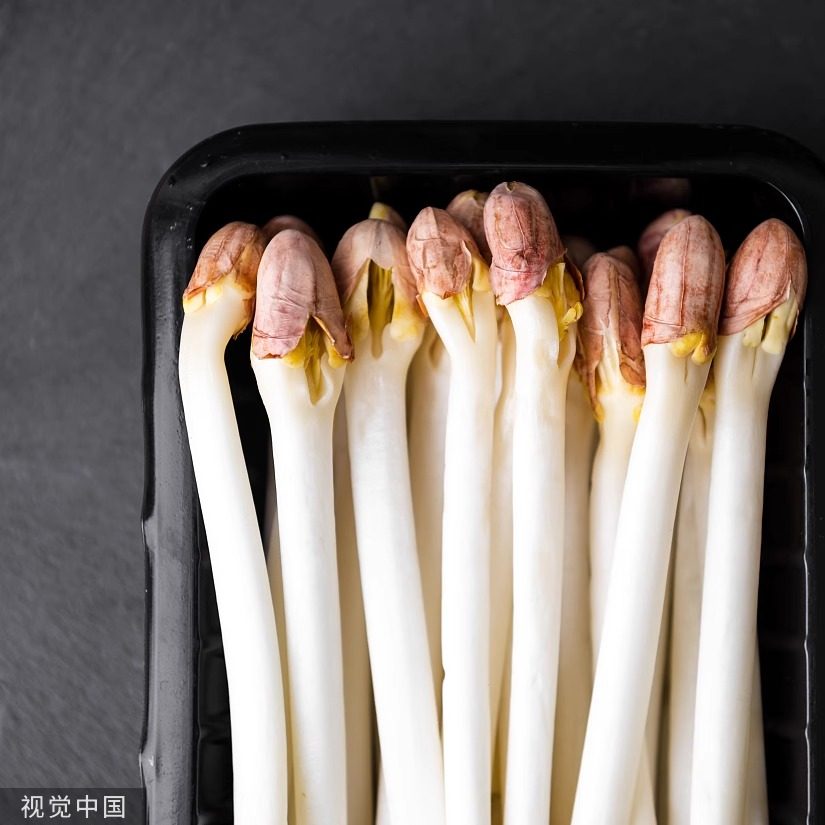 【千牛优福】新鲜花生芽500g/盒食用花生苗蔬菜芽苗长寿芽烫火锅,淘宝优惠券,粉丝福利购,淘宝优惠卷