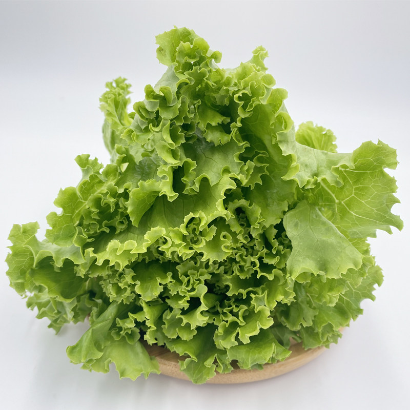 【千牛优福】罗莎绿5-10斤花边生菜花叶新鲜蔬菜沙拉包烤肉食材,淘宝优惠券,粉丝福利购,淘宝优惠卷