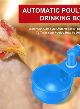 24/12/6 Pcs Automatic Chicken Water Cup Waterer Bowl Kit Far