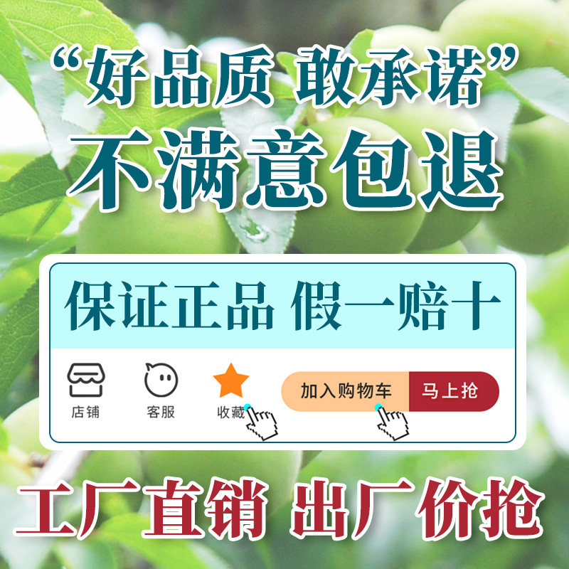 朝舒梅孝素官方旗舰店正品酸哮效素 朝舒酵素