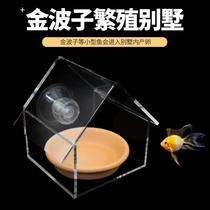 Golden Wave Subbreeding Villa Isolated Box Dogge Breeding Shelf Breeding Pan Hatchbox Short Snapper Acrylic