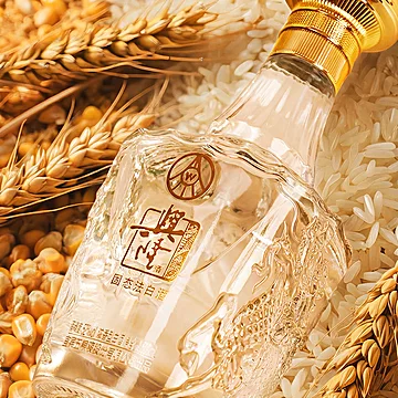 2瓶！五粮液白酒礼盒52度兴隆高度白酒500ml[209元优惠券]-寻折猪