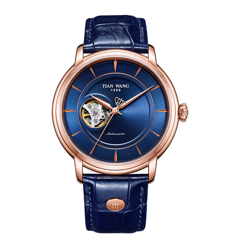 天王男表带真皮机械表休闲运动全自动品牌正品时尚潮流手表5941