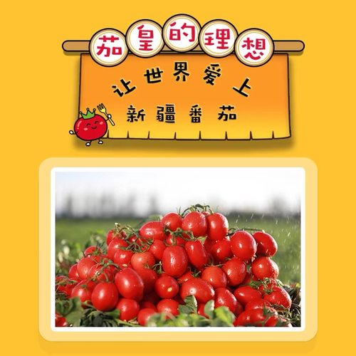 统一茄皇方便面新疆番茄牛肉面鸡蛋面方便泡面袋装整箱批发桶装 - 图0