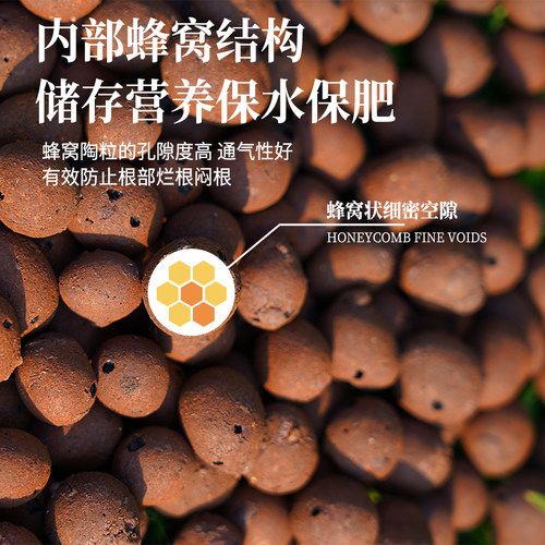 陶粒垫底养花专用多肉土盆栽铺面石花盆水培透气陶土粒回填卫生间 - 图0