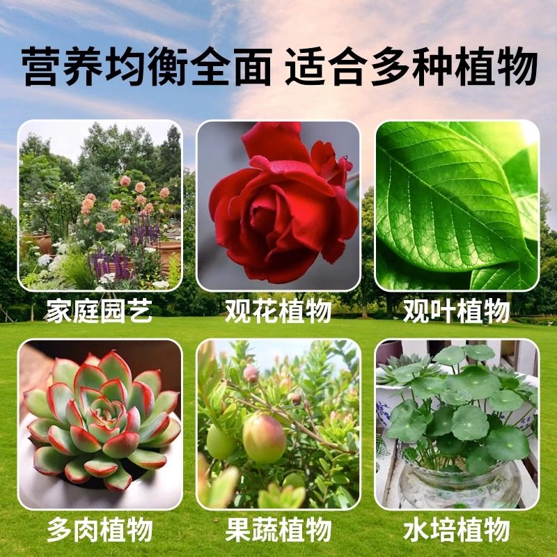 营养液植物通用型花肥绿植花卉发财树富贵竹绿萝水培盆栽家用肥料,淘宝优惠券,粉丝福利购,淘宝优惠卷