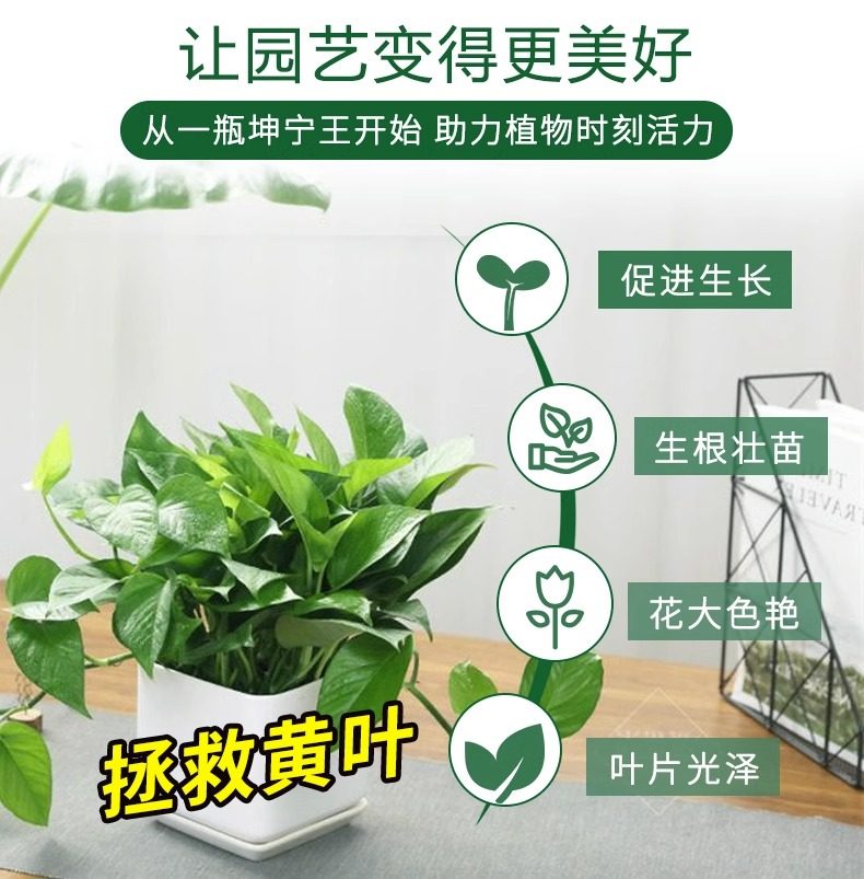 营养液植物通用型花肥绿植花卉发财树富贵竹绿萝水培盆栽家用肥料,淘宝优惠券,粉丝福利购,淘宝优惠卷