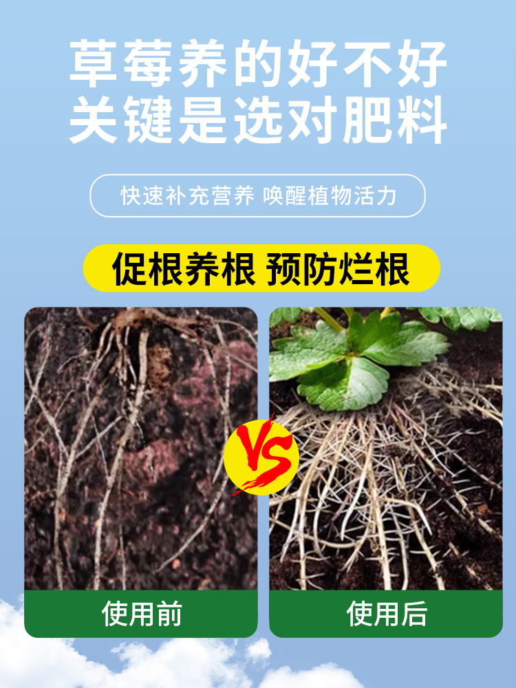 草莓肥料专用营养液家用绿植盆栽蔬果膨果大增甜有机化肥水溶肥料 - 图1