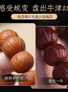 核桃手串猴头男款盘玩高端核桃文玩聚宝盆单圈土豪原籽佛珠念珠女