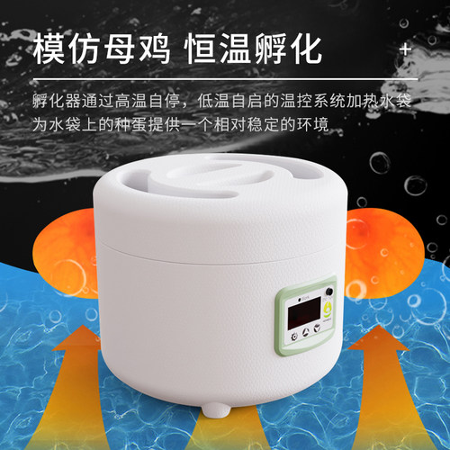 HHD 水床孵化器自动控温小型家用迷你孵化箱鹦鹉芦丁鸡家禽孵蛋器 - 图2