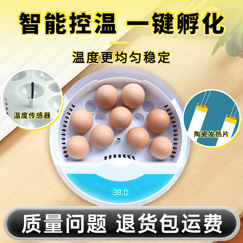 HHD孵化器小型家用型鸡鸭鸟类孵蛋器迷你自动恒温孵化机鹦鹉鸟类,淘宝优惠券,粉丝福利购,淘宝优惠卷