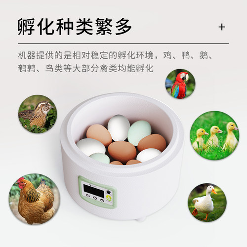 HHD 水床孵化器自动控温小型家用迷你孵化箱鹦鹉芦丁鸡家禽孵蛋器 - 图0