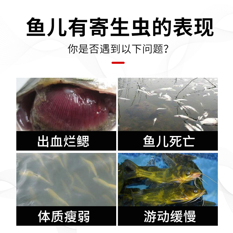 渔美惠车轮净一次净水产专用鱼塘绝杀斜管虫速杀小瓜虫白点鱼药 - 图1