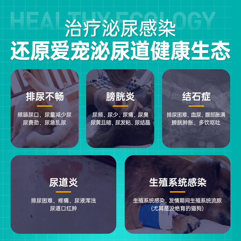 宠医到恩诺沙星猫咪泌尿闭尿血狗狗尿路感染乳腺宠物用消炎药利尿