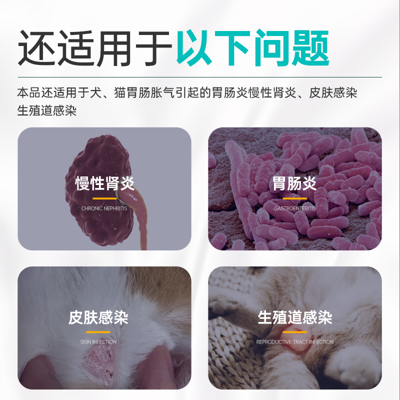 宠医到恩诺沙星猫咪泌尿闭尿血狗狗尿路感染乳腺宠物用消炎药利尿