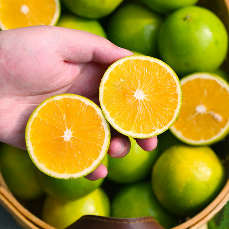 Rock Tang Orange Freshly Picked Yunnan Oranges