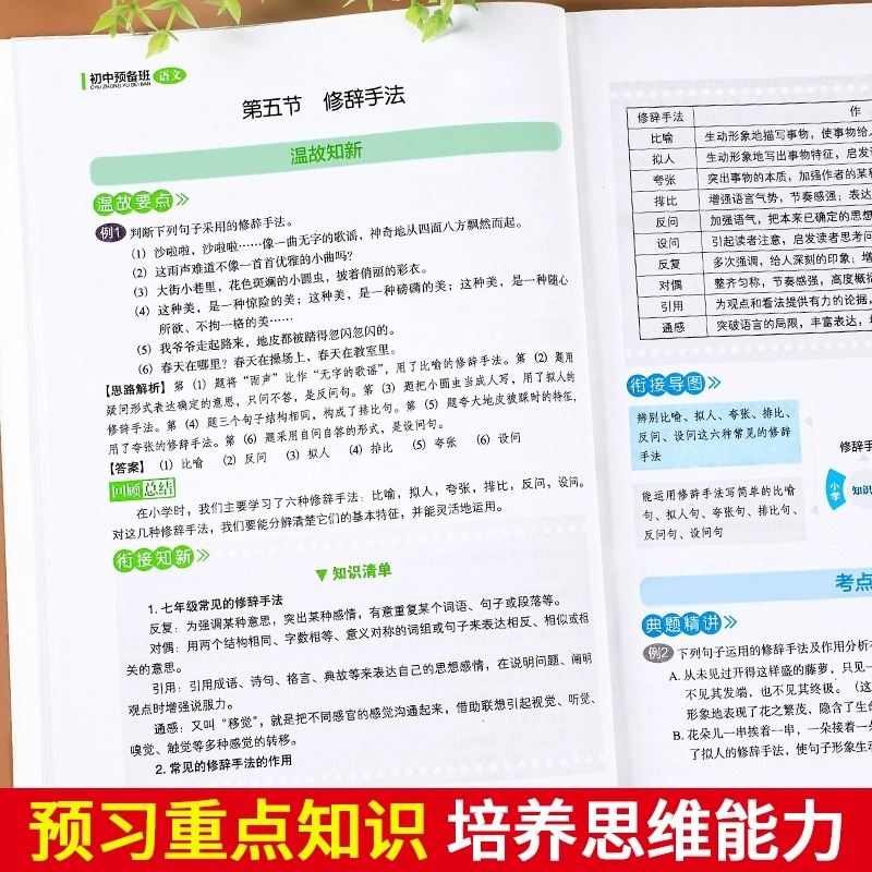 初一预备班教材书6升7衔接教材七年级上册语文练习题专项强化训练人教版六年级毕业总复习暑假作业小学升初中语文基础知识大全-图2