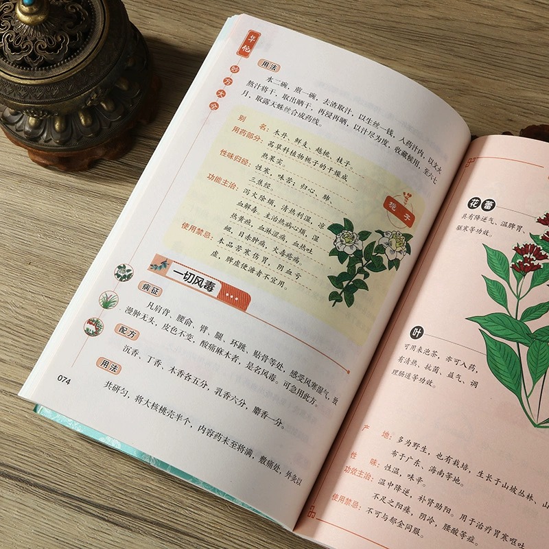 华佗扁鹊李时珍张仲景妙方大全彩图版常见病中医处方手册中草药配图谱对症处方大全书家庭医保健生小百科传承医学经典弘扬中医药 - 图2