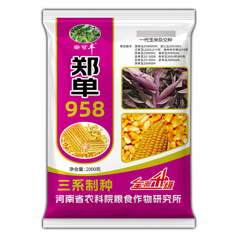 国审大棒玉米种子大全郑单958农科院新品培植高产高抗包谷种矮杆,淘宝优惠券,粉丝福利购,淘宝优惠卷