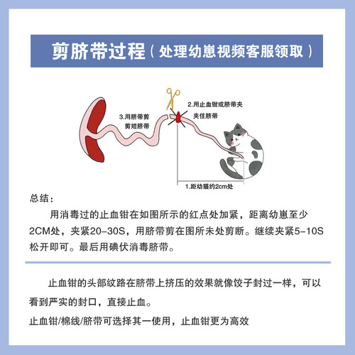 猫咪待产包接生工具生产包产房用品全套装宠物狗狗怀孕生产繁殖箱 - 图2