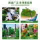 Sand table environment art landscaping simulation tree free shipping