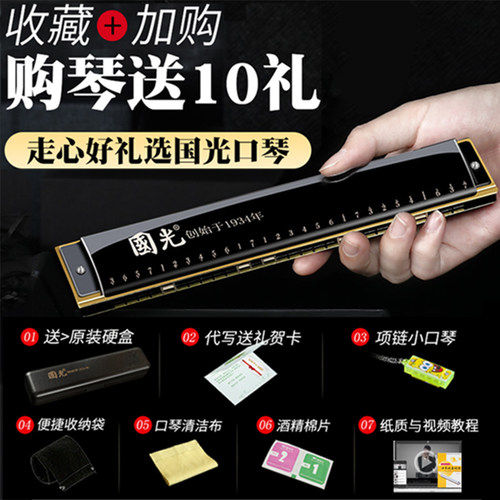 国光口琴专业演奏级28孔重音德国进口音簧24孔复音C调初学者入门 - 图0