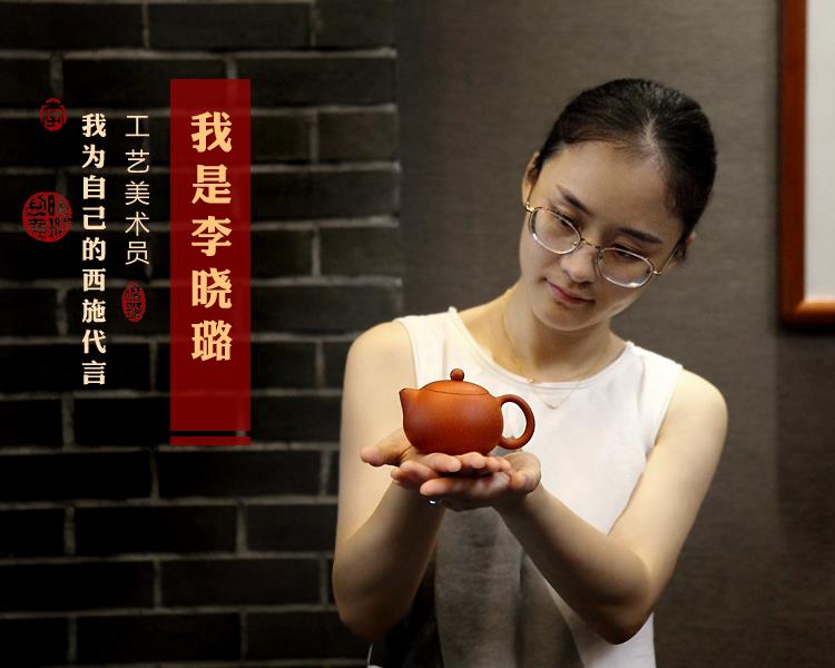宜兴茶壶泡茶壶 名家李晓璐紫砂壶套装 五色西施紫砂壶