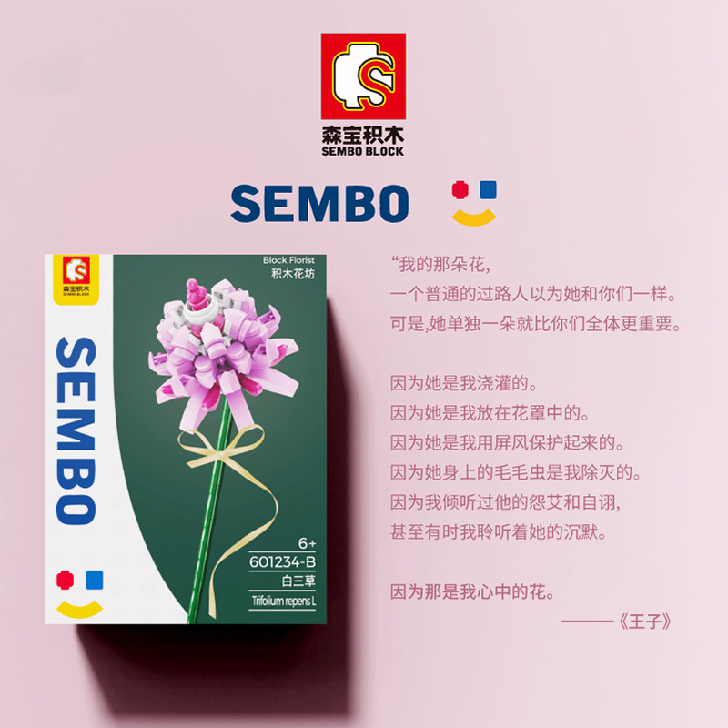 森宝积木花束儿童拼装男女益智玩具 森宝积木森迪建构/拼插积木