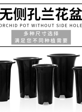 无侧孔兰花盆塑料兰花专用盆加高加厚兰花花盆兰草盆养兰盆透气