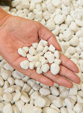 天然白石子鹅卵石庭院石头造景