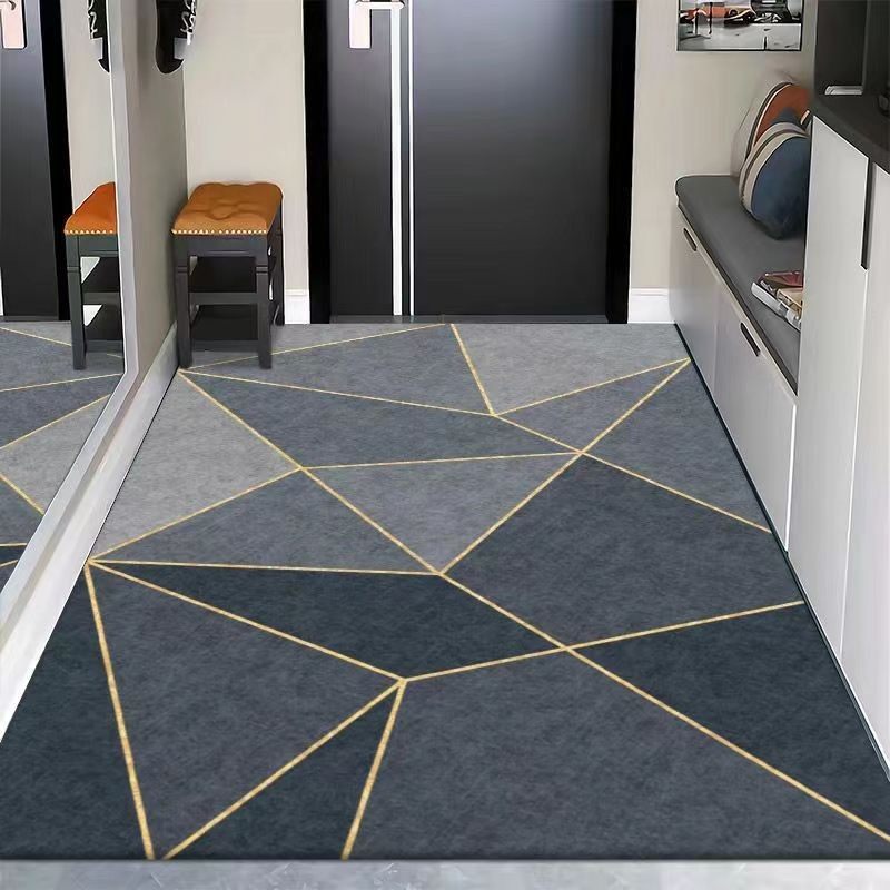 入户门垫客厅垫卧室地毯脚垫防滑垫子轻奢风简约现代地垫门垫进门,淘宝优惠券,粉丝福利购,淘宝优惠卷