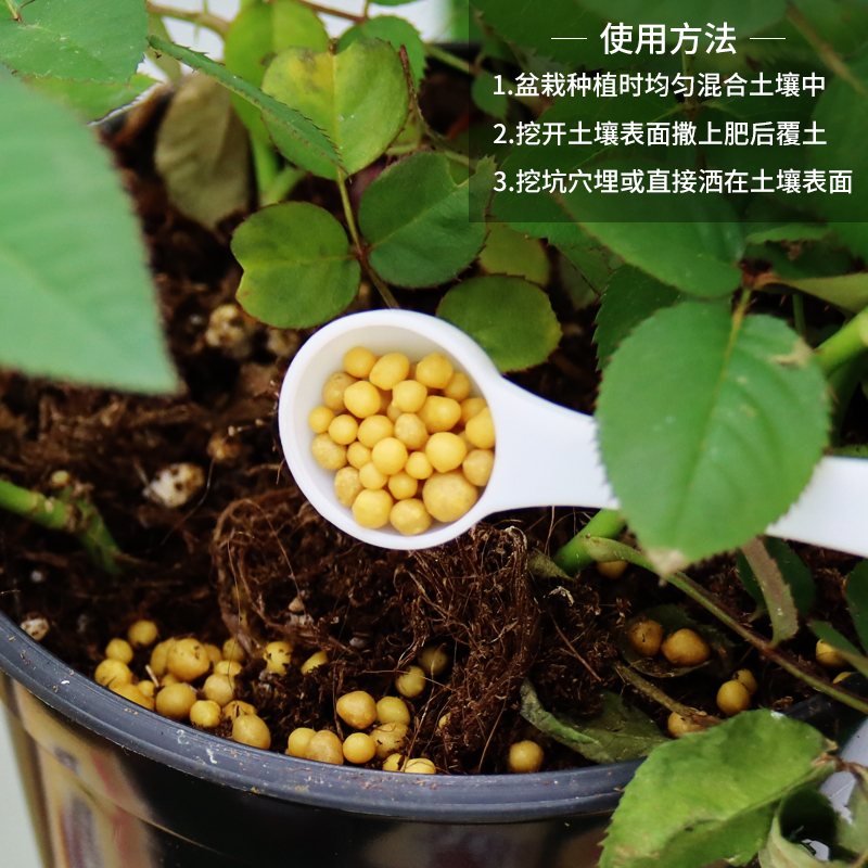 进口奥绿肥 奥绿1号5号/A2/315s/318s缓释肥多肉植物盆栽花卉花肥 - 图2