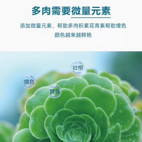 生长魔励 园艺家用多肉植物专用营养液肉肉仙人掌仙人球氮磷钾肥 - 图1