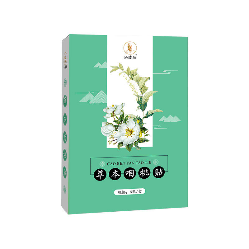 一代宗师仙脉通草本咽桃贴草本咳嗽 一代宗师膏药贴（器械）
