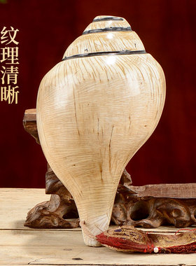 尼泊尔白海螺手工做旧抛光海螺壳