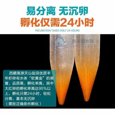 包邮卤虫卵新卵大红卵红姐牌丰年虾卵可孵化率95 西藏丰年虾卵赠 虎窝淘