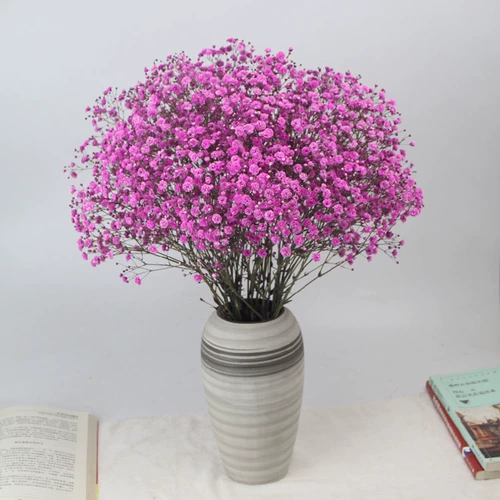 Юньнан естественным образом полон звездных высушенных цветов Букеты истинные цветочные луче